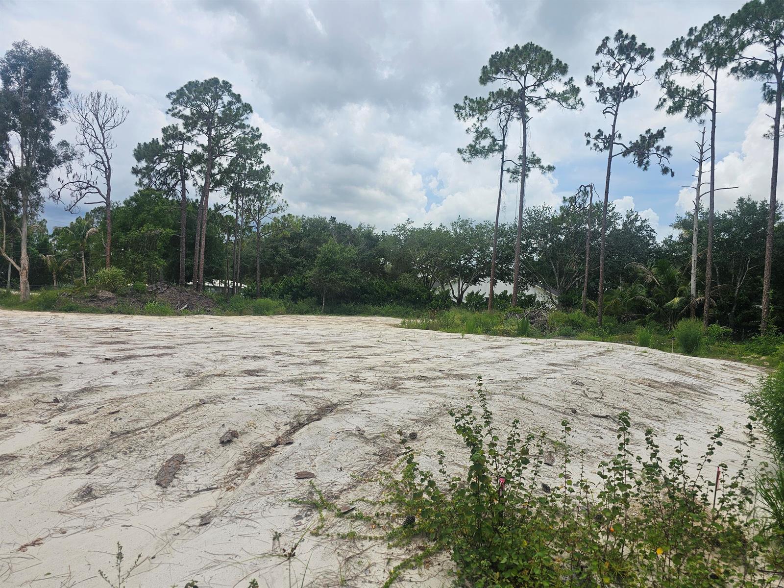 A vacant, sandy lot features scattered pine trees under a cloudy sky — 13841 76th Road N, FL 33412, FL