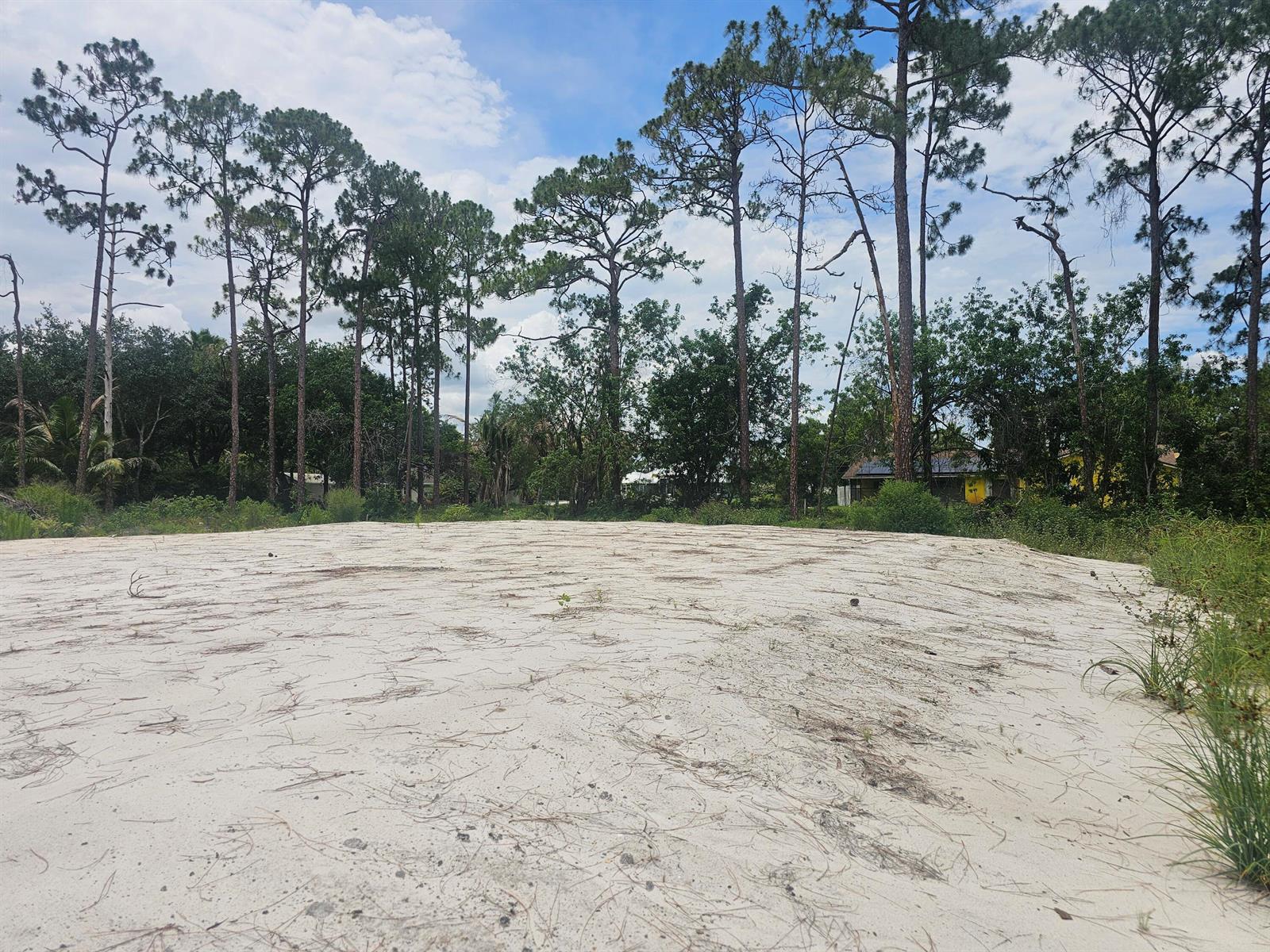 A flat, sandy, cleared lot is surrounded by tall pine trees under a cloudy sky — 13841 76th Road N, FL 33412, FL