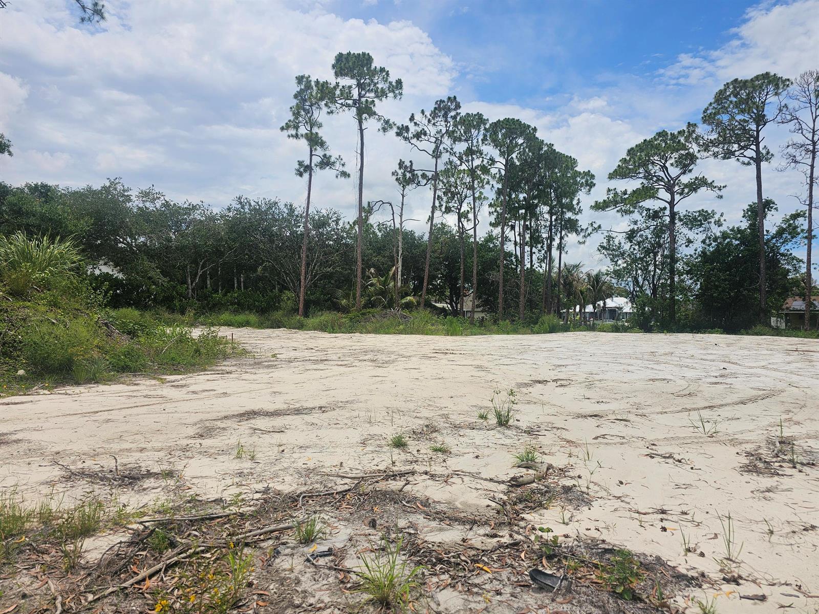 A vacant, sandy residential lot features scattered vegetation and a line of tall pine trees — 13841 76th Road N, FL 33412, FL