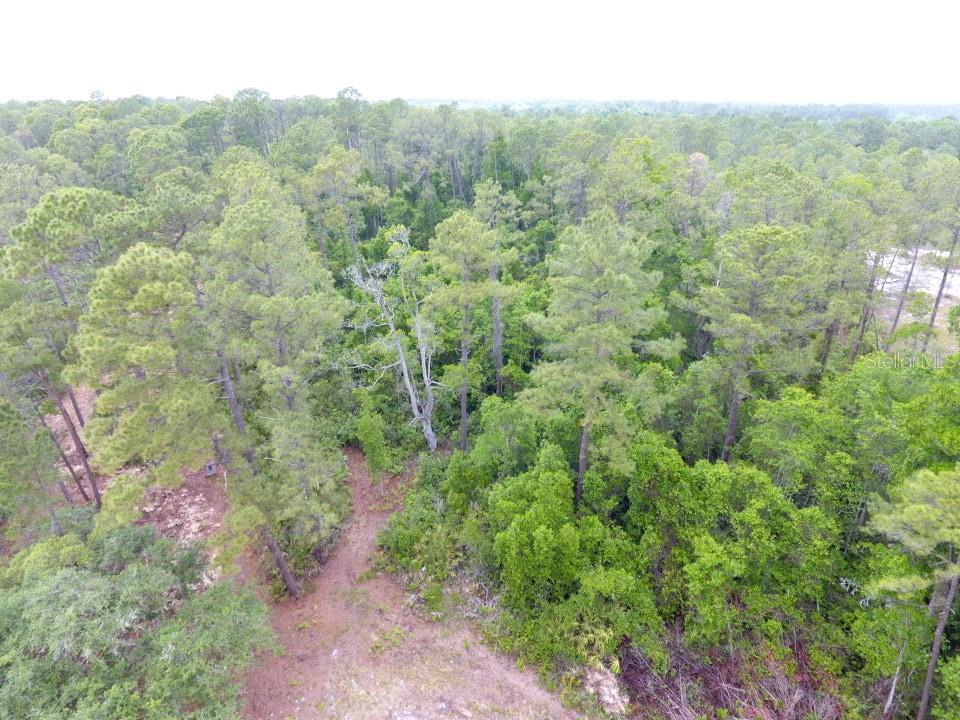An aerial view of a wooded lot with a dirt path leading into the trees — 161 SNAKE HILL ROAD, CRESCENT CITY, FL