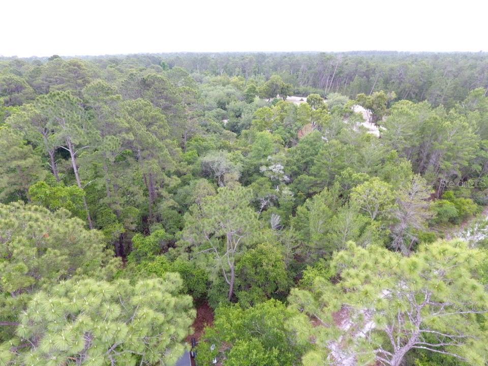 An aerial view shows a dense, wooded forest with patches of sandy ground — 161 SNAKE HILL ROAD, CRESCENT CITY, FL