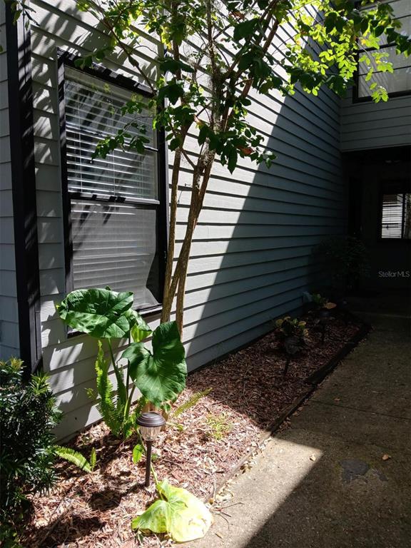 A small tree and elephant ear plants grow in a mulch bed beside a building — 4419 SW 20TH LANE, GAINESVILLE, FL