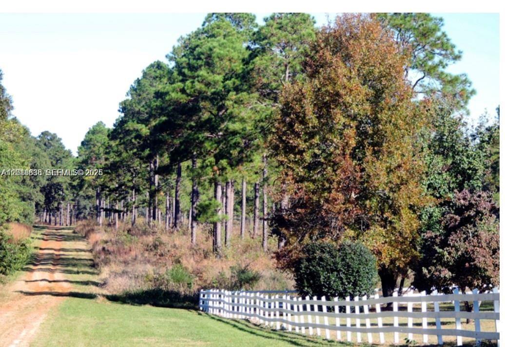 A dirt path leads through a wooded area next to a white picket fence — Lot 59 Magnolia Plantation, GA 31568, GA