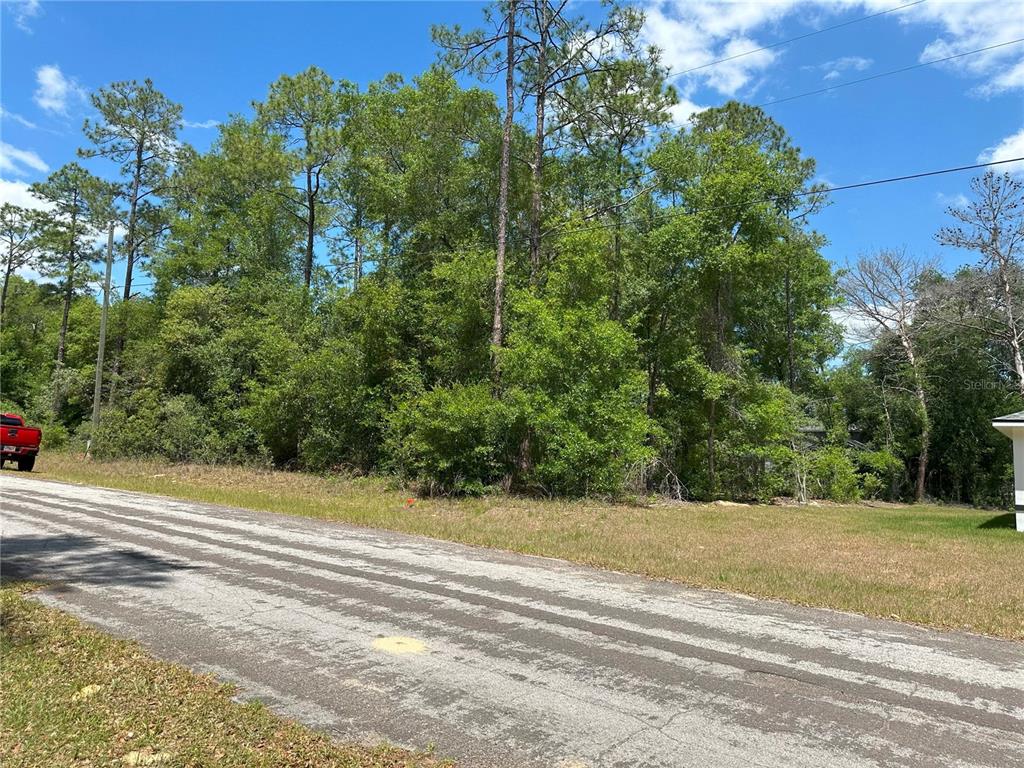 A paved road runs alongside a vacant, wooded lot under a blue sky — 1571 W ALEXANDER DRIVE, CITRUS SPRINGS, FL