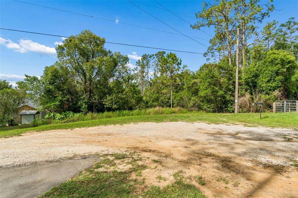 A gravel driveway leads to a wooded lot with a mailbox and utility pole — 00 HAMRICH, DADE CITY, FL