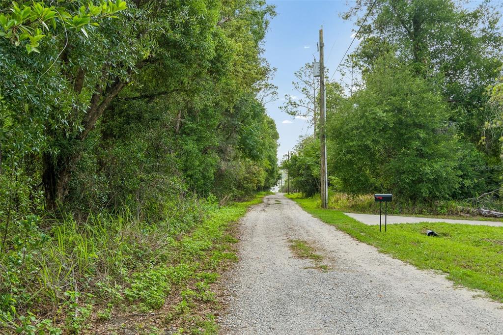 A gravel road leads through a wooded area with a utility pole and mailbox — 00 HAMRICH, DADE CITY, FL