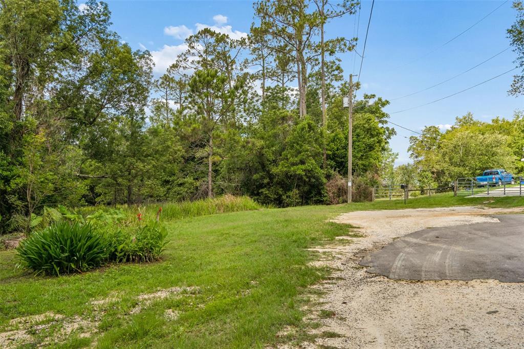 A gravel driveway leads toward a grassy area bordered by trees and a metal gate — 00 HAMRICH, DADE CITY, FL