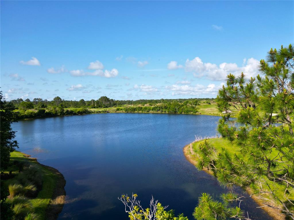 A view of a lake surrounded by green grass and pine trees under a sky — 201 ASPEN WAY, PALM COAST, FL