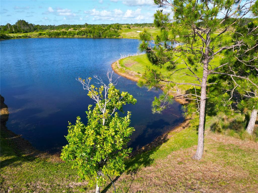 An aerial view of a pond surrounded by green grass and pine trees — 201 ASPEN WAY, PALM COAST, FL