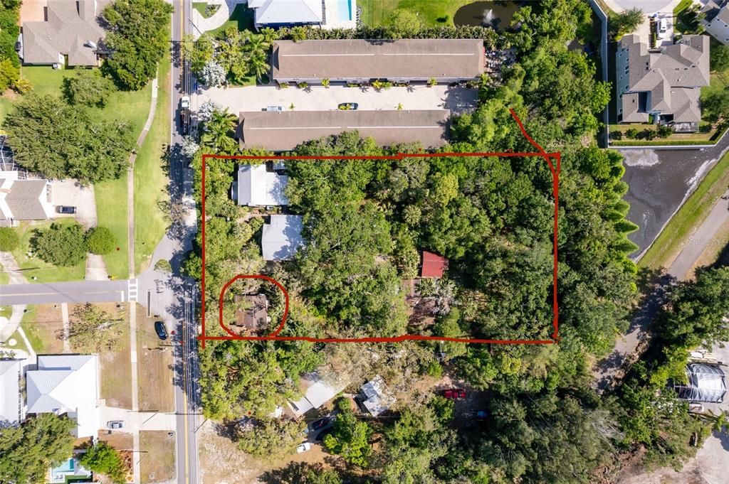 This aerial view shows a wooded residential lot with several structures outlined in red — 260 ORANGE STREET, PALM HARBOR, FL