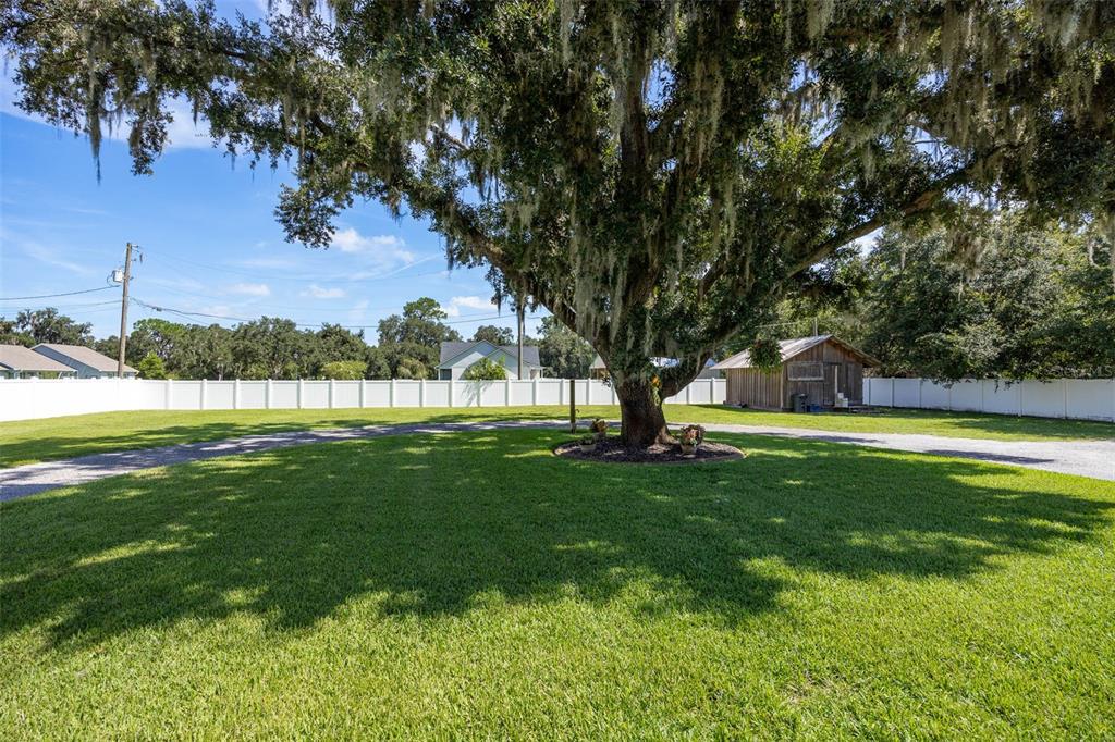 6010 BOB HEAD ROAD, PLANT CITY, FL — photo 5 of 30