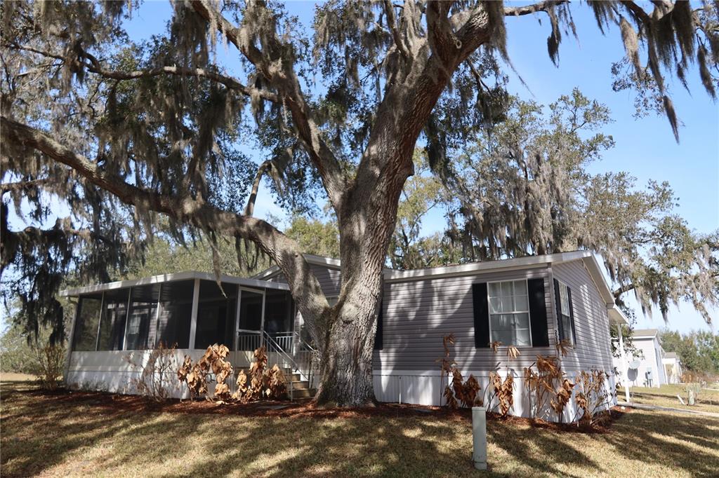 25157 BUTTONWOOD DRIVE