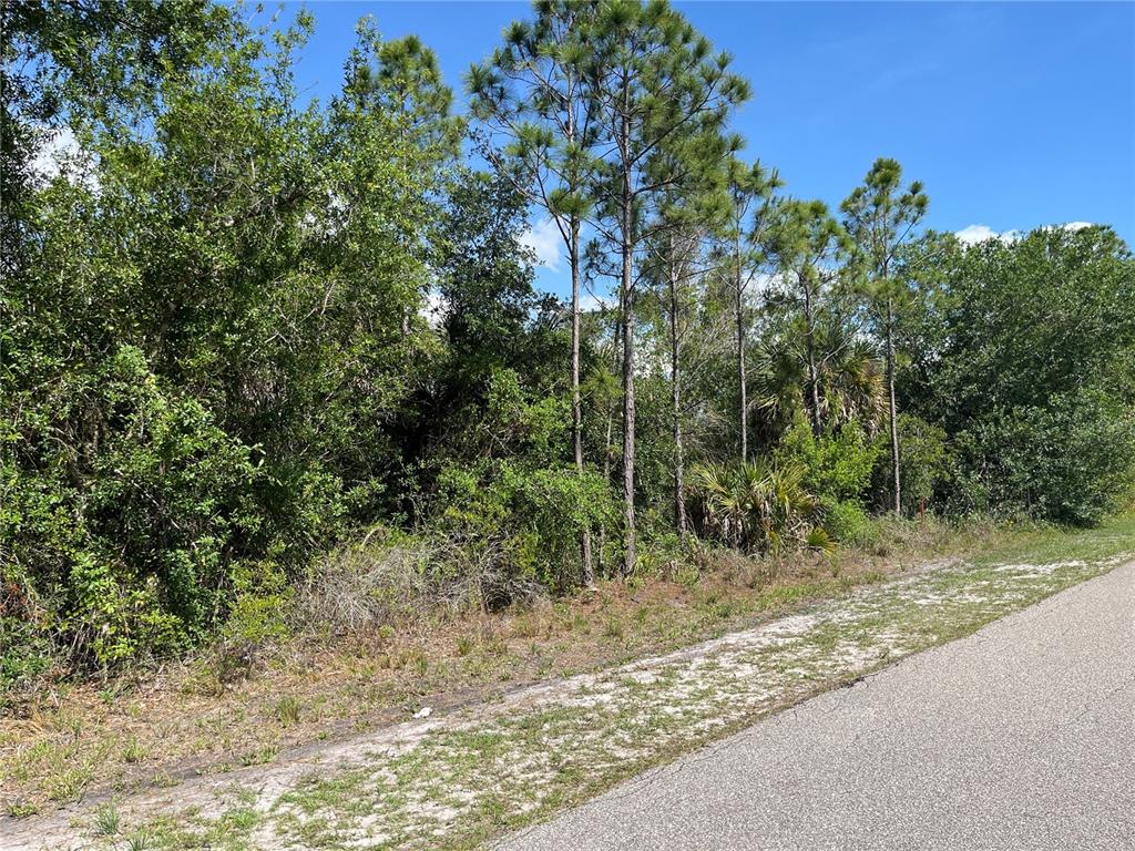A paved road runs alongside a wooded lot with tall pine trees and dense vegetation — 1174 SHETLAND STREET, PUNTA GORDA, FL