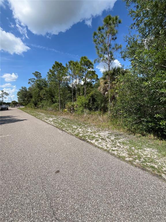 A paved road runs alongside a wooded lot with pine trees and sandy ground — 1174 SHETLAND STREET, PUNTA GORDA, FL