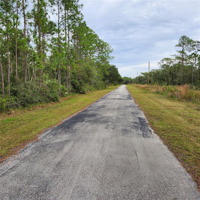 A narrow asphalt road stretches through a wooded area under a cloudy sky — LOT 2 SOUTH SHORE DRIVE, LAKE WALES, FL