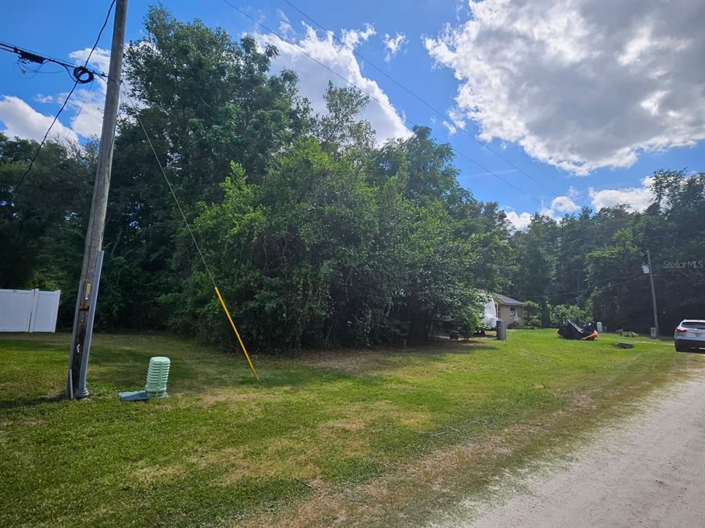 A grassy lot features a utility pole, dense trees, and a small house in the background — SE 140TH LANE, SUMMERFIELD, FL