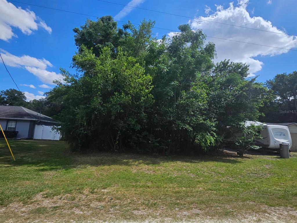 A large, dense cluster of trees stands between a house and a parked travel trailer — SE 140TH LANE, SUMMERFIELD, FL