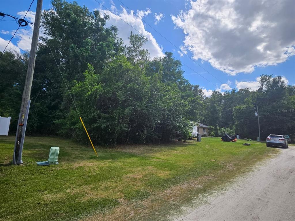 A grassy, partially wooded lot sits next to a dirt road with a utility pole — SE 140TH LANE, SUMMERFIELD, FL