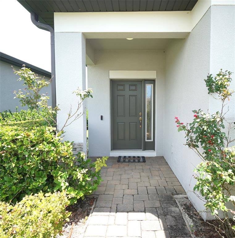 A paved walkway leads to a gray front door with a side window under a porch — 19460 BLOSSOM VINE LANE, LUTZ, FL