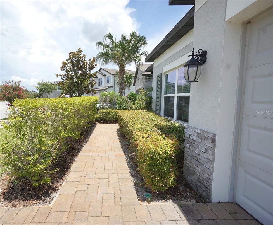 A paved walkway leads past a stone-accented exterior wall and manicured hedges toward a house — 19460 BLOSSOM VINE LANE, LUTZ, FL