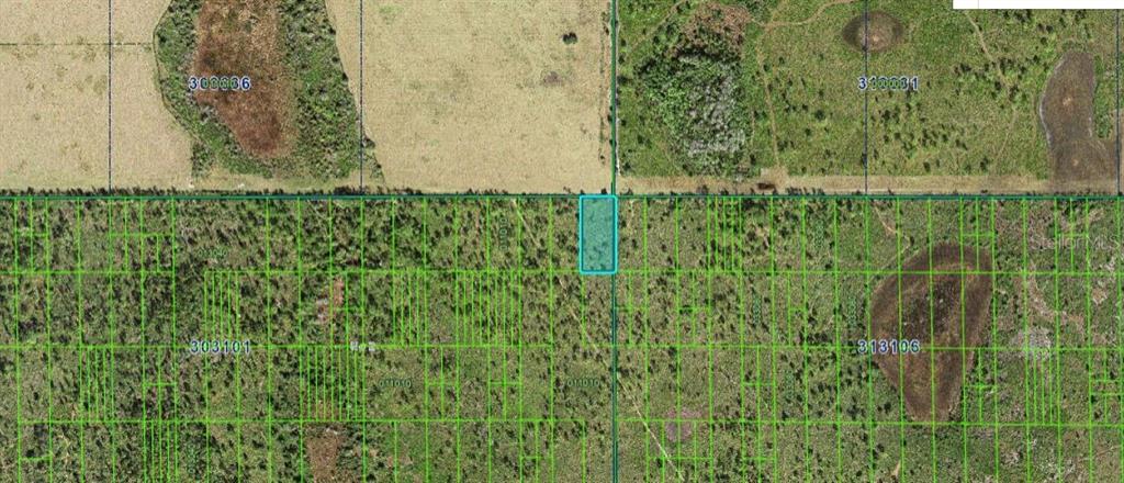This aerial map shows a highlighted rectangular plot of land surrounded by wooded terrain — SHADY OAKS DR, LAKE WALES, FL