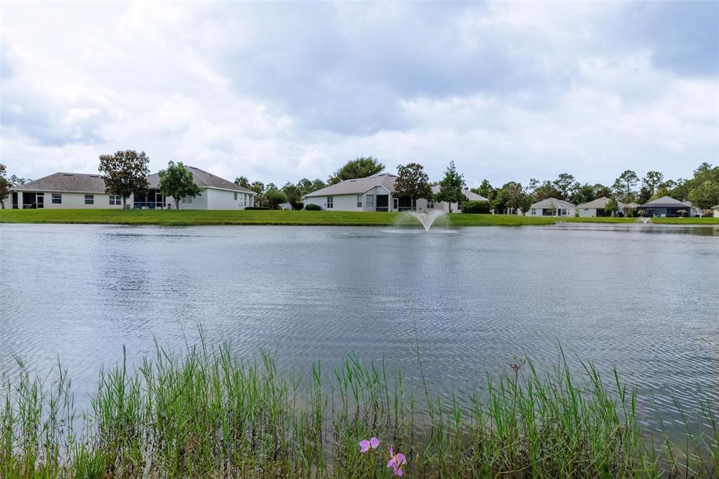 A view of a lake with a fountain and houses in the background — 61 RAINTREE CIRCLE, PALM COAST, FL
