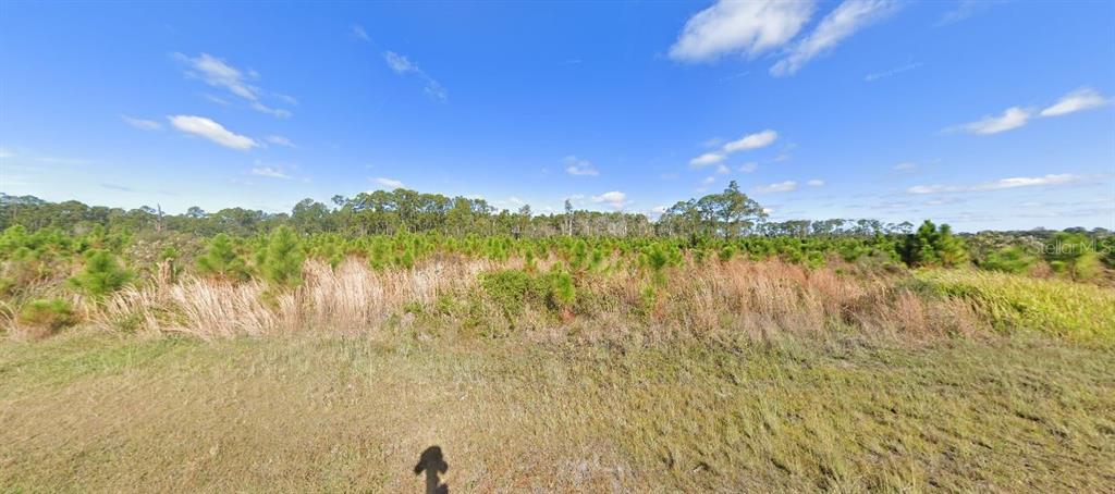 A wide, grassy field with scattered small pine trees under a bright blue sky — 206 ALBA DRIVE, INDIAN LAKE ESTATES, FL