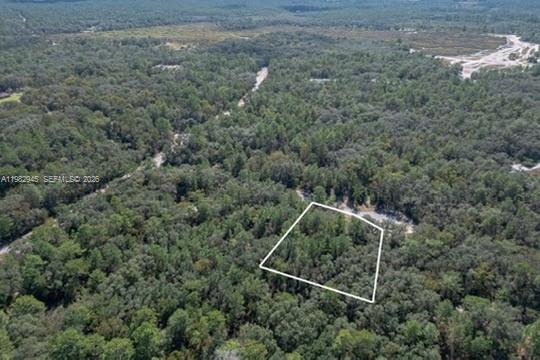 An aerial view shows a rectangular plot of land outlined in white amidst a dense forest — 174 Street, Ocala FL 34473, OCALA, FL