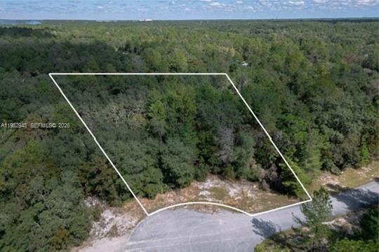 An aerial view shows a wooded, undeveloped residential lot outlined in white along a cul-de-sac — 174 Street, Ocala FL 34473, OCALA, FL