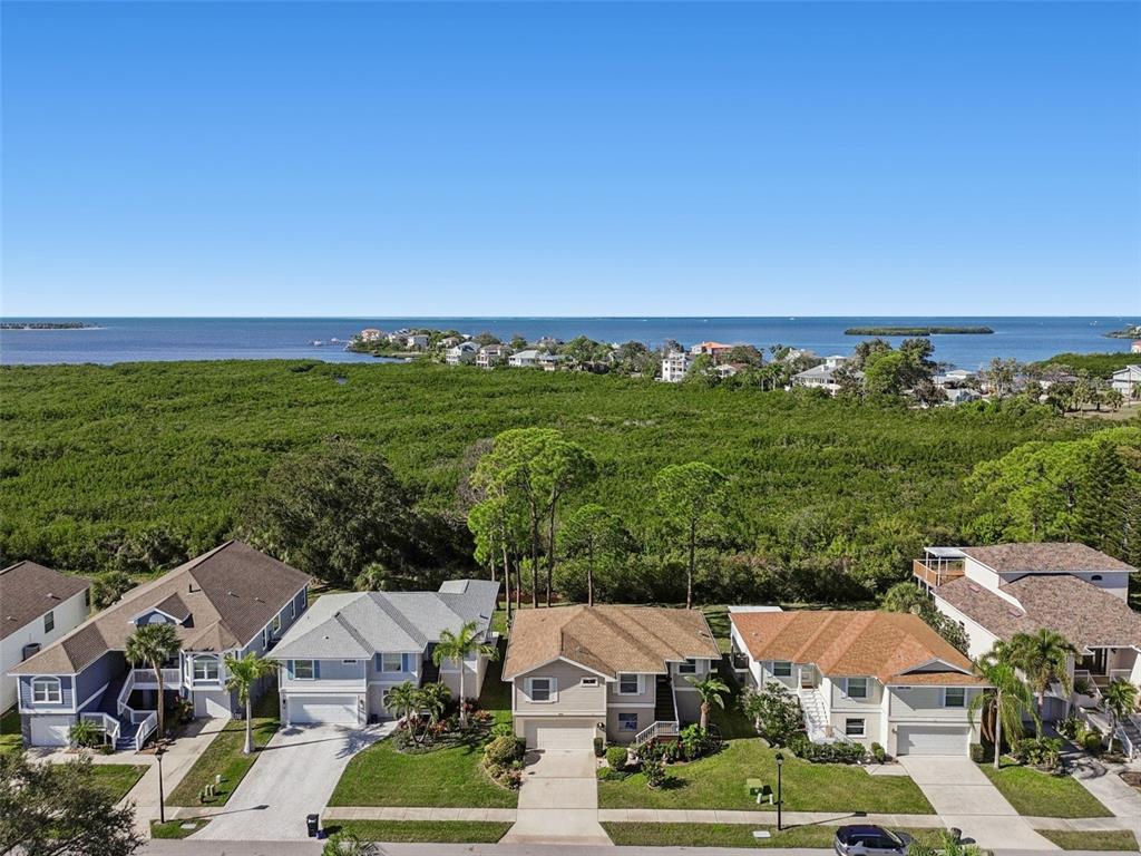 An aerial view shows a row of suburban houses fronting a large expanse of mangroves — 1059 S POINTE ALEXIS DR, TARPON SPRINGS, FL