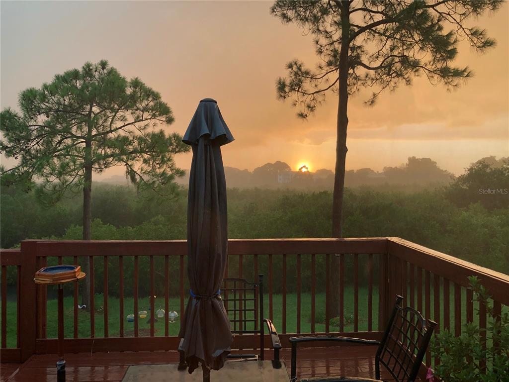 A wooden deck overlooks a grassy yard and trees during a sunset with rain — 1059 S POINTE ALEXIS DR, TARPON SPRINGS, FL