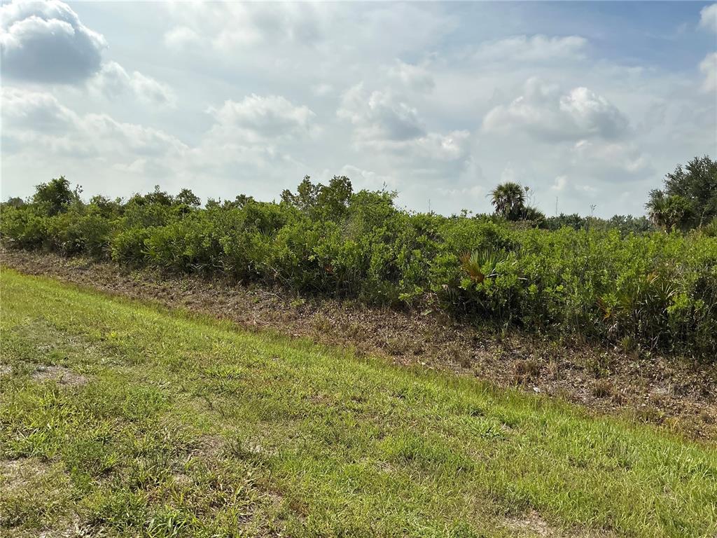 A grassy area leads to a dense line of shrubs and trees under a cloudy sky — 20692 NW 282ND STREET, OKEECHOBEE, FL