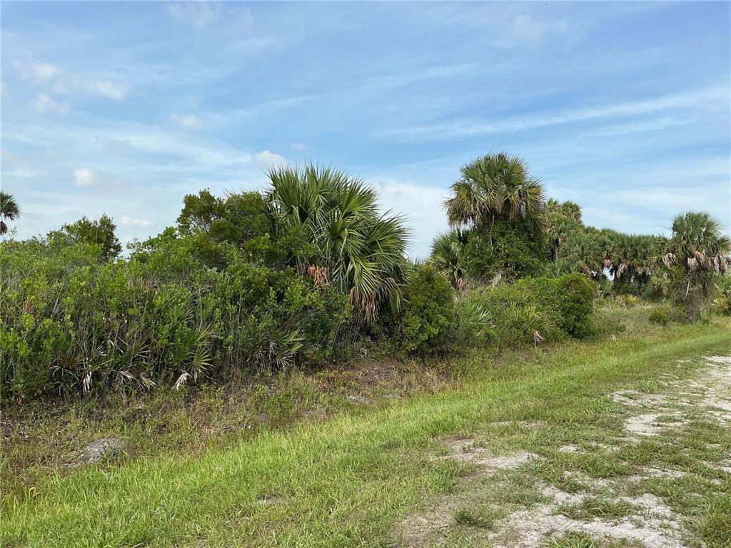 A grassy path leads toward a dense area of Florida scrub and palm trees — 20692 NW 282ND STREET, OKEECHOBEE, FL