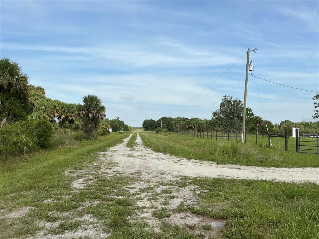 A dirt road leads through a rural landscape with palm trees and a wire fence — 20692 NW 282ND STREET, OKEECHOBEE, FL