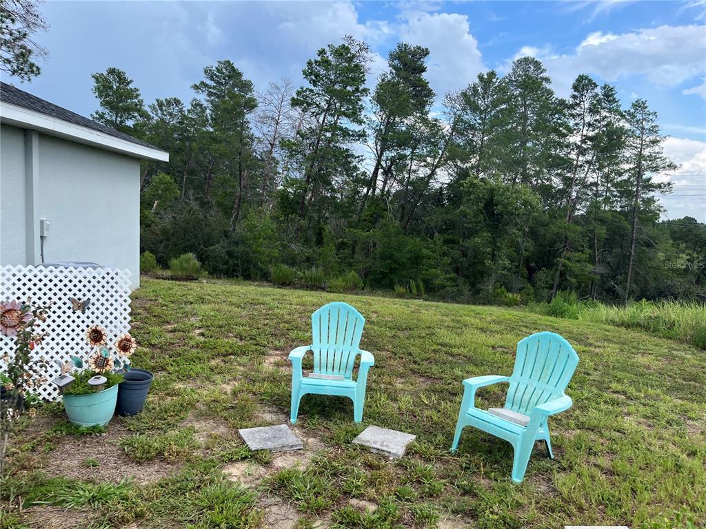 Two light blue Adirondack chairs sit on a grassy backyard lawn near a house exterior — 2404 LEMA DRIVE, SPRING HILL, FL