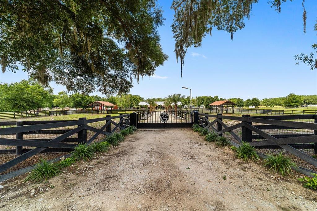 A gravel driveway leads to a gated entrance with black wooden fencing and mature trees — 16392 NE JACKSONVILLE ROAD, CITRA, FL