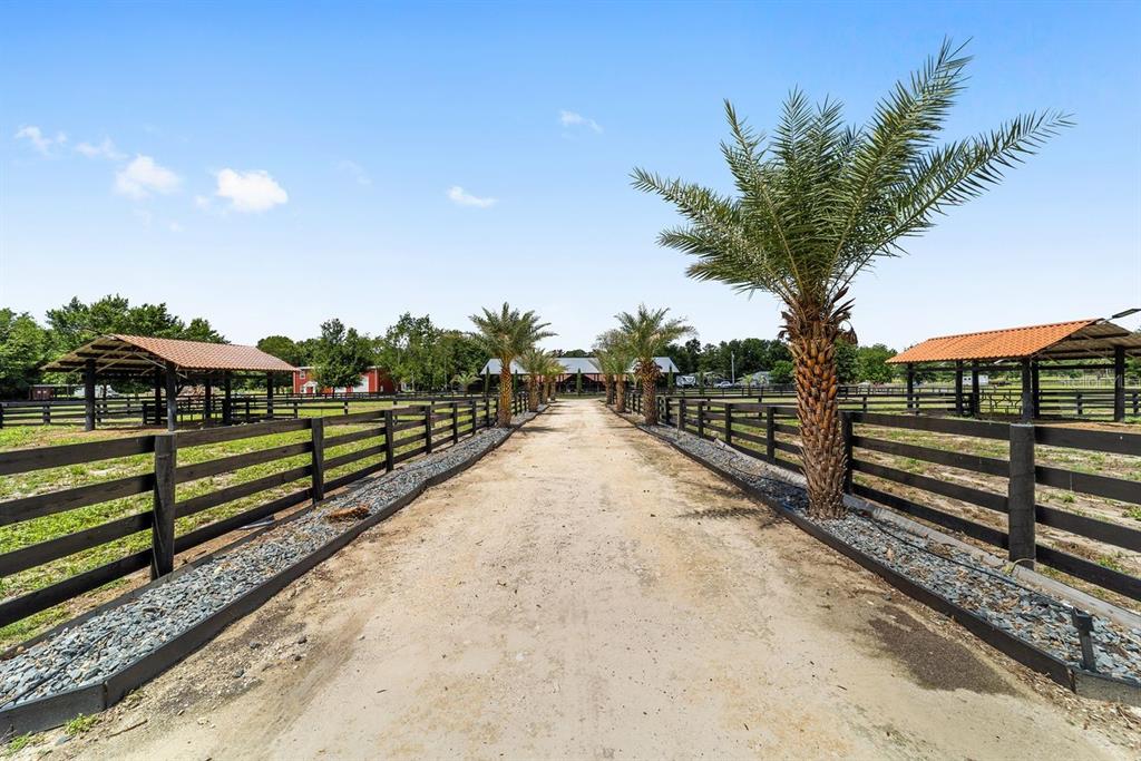 A dirt driveway leads toward a barn between fenced pastures lined with palm trees — 16392 NE JACKSONVILLE ROAD, CITRA, FL