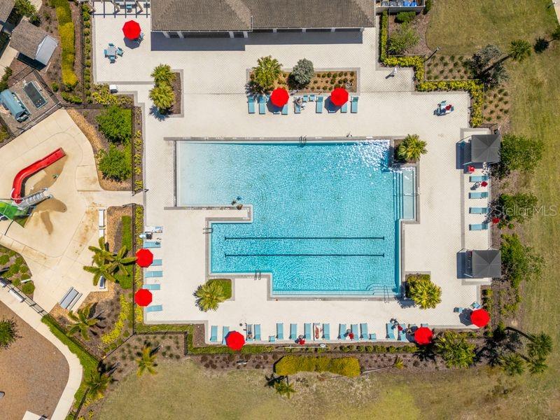 An aerial view shows a rectangular swimming pool with a slide, lounge chairs, and umbrellas — 3703 GLOBE THISTLE DRIVE, TAMPA, FL