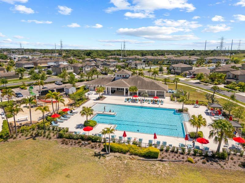 An aerial view shows a community swimming pool with lounge chairs and a clubhouse — 3703 GLOBE THISTLE DRIVE, TAMPA, FL
