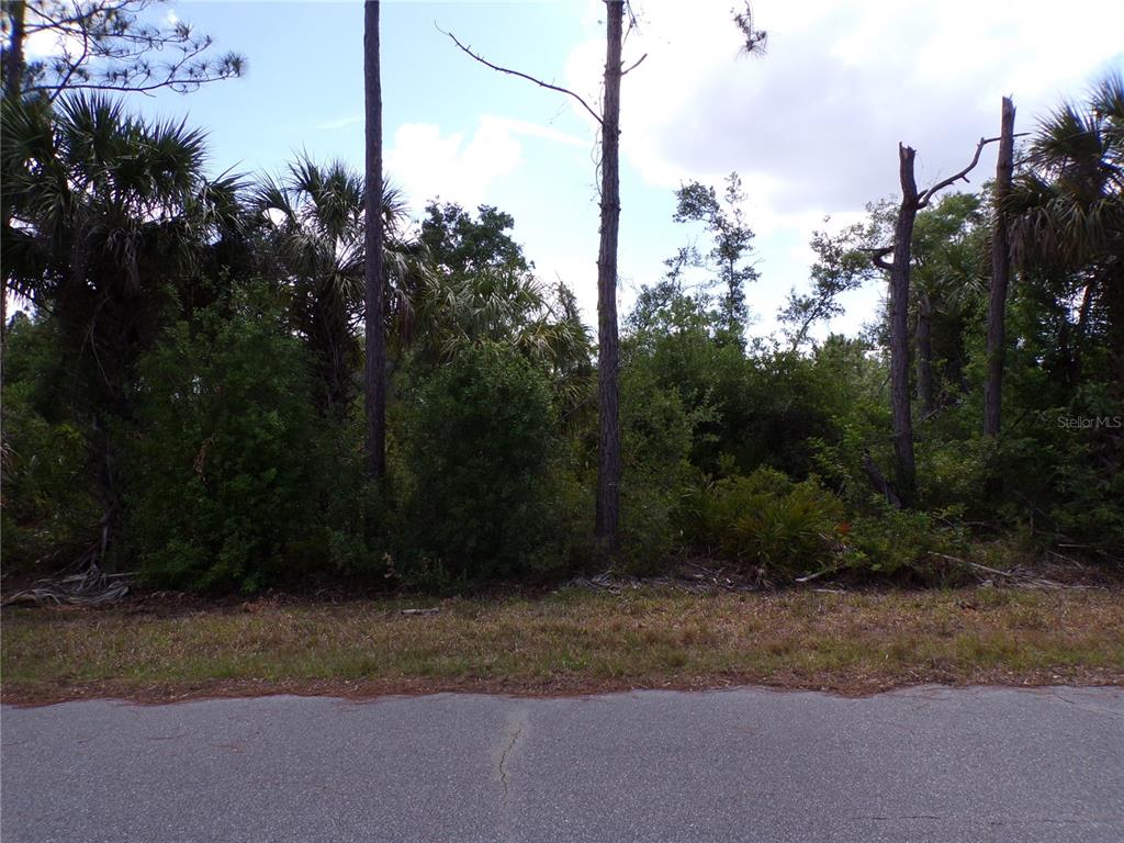 A wooded, undeveloped residential lot is viewed from the edge of an asphalt road — 2300 REMAGEN STREET, PORT CHARLOTTE, FL