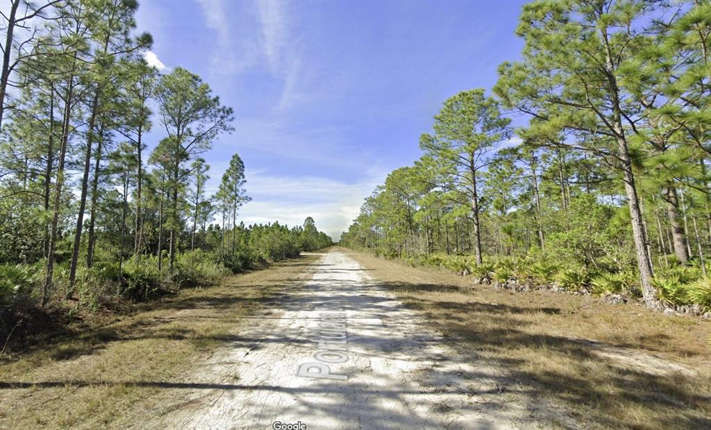 A dirt road stretches through a wooded area with pine trees and low-lying vegetation — 820 & 822 PORTULACA DRIVE, INDIAN LAKE ESTATES, FL