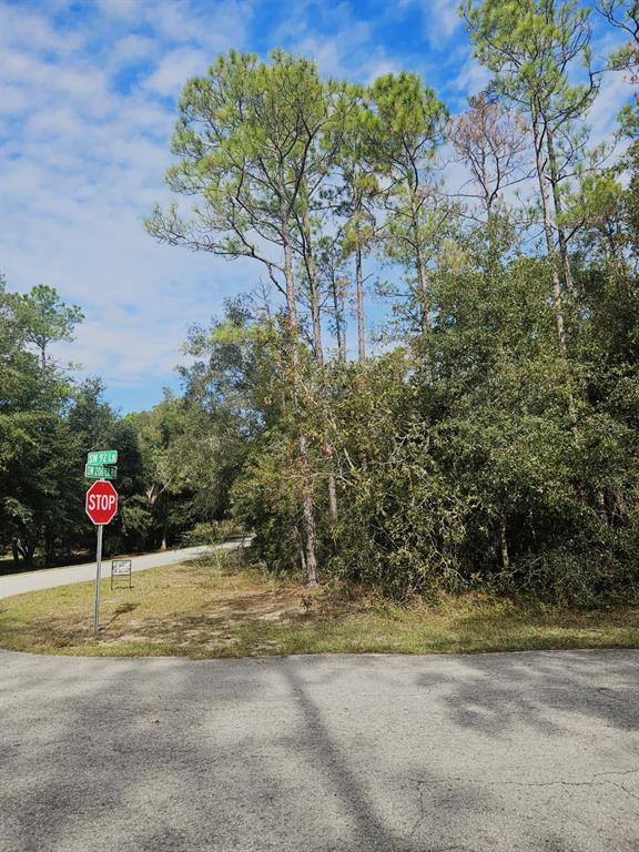 A stop sign stands at a street intersection next to a wooded lot with tall pines — SOUTHWEST 206TH COURT RD, DUNNELLON, FL