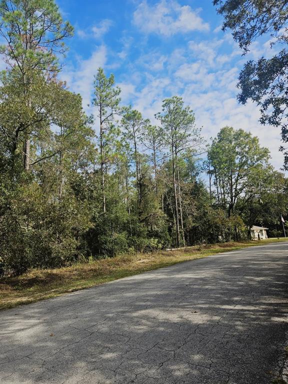 A paved road runs alongside a wooded lot with tall pine trees under a cloudy sky — SOUTHWEST 206TH COURT RD, DUNNELLON, FL