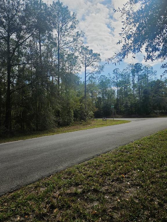 A paved road curves past a wooded lot with a small sign in the distance — SOUTHWEST 206TH COURT RD, DUNNELLON, FL