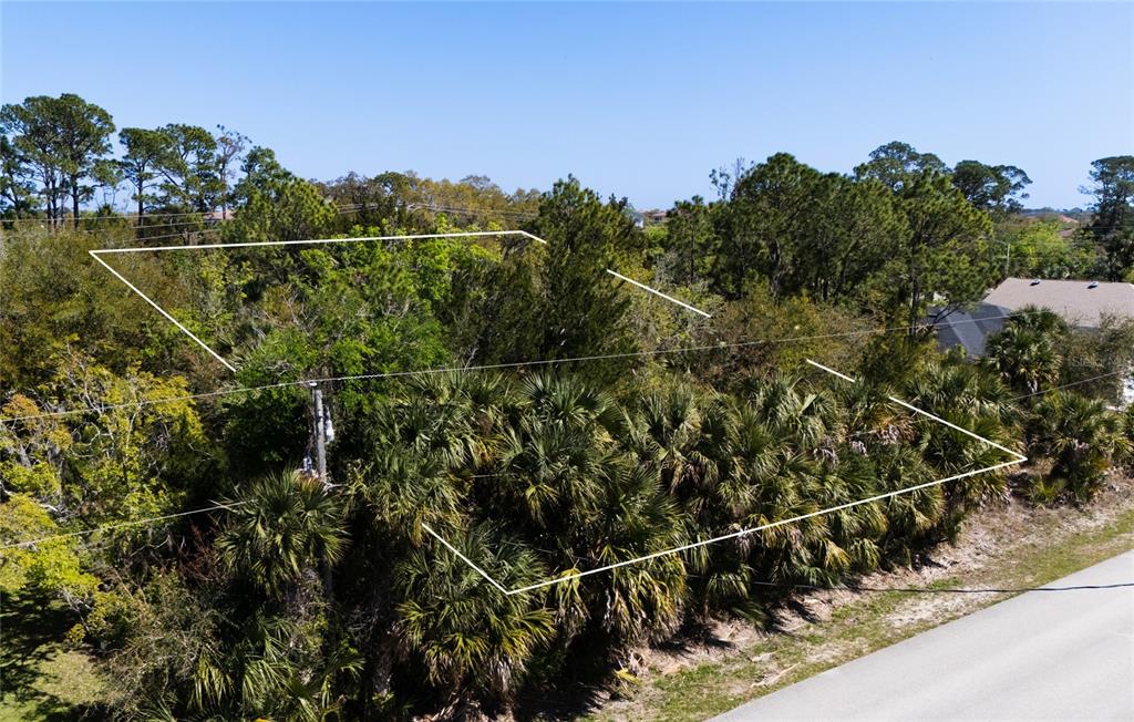 An aerial view shows a wooded, undeveloped lot outlined in white near a paved road — 60 CORAL REEF COURT N, PALM COAST, FL