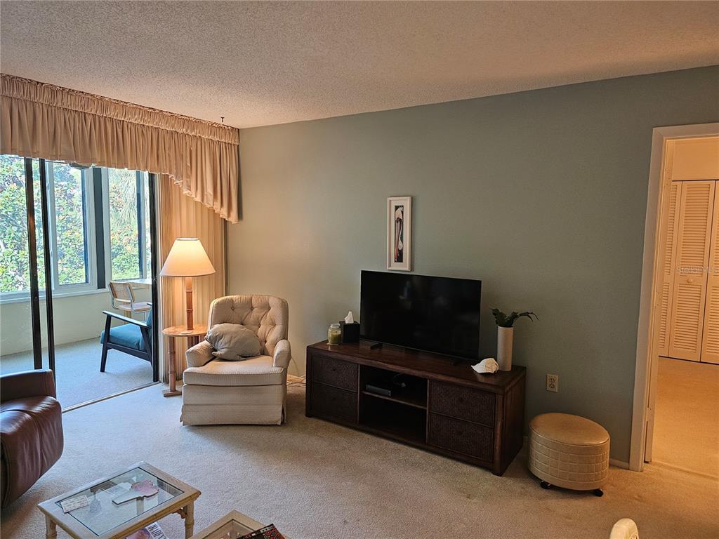 A living room features a television on a wooden console, an armchair, and a sliding door — 586 LAKESIDE DRIVE UNIT 586, BRADENTON, FL