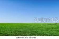 A vast, flat green field stretches toward a clear blue sky — SE 79TH STREET, OCALA, FL