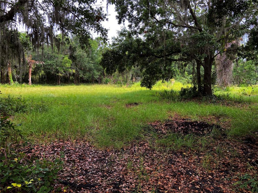 LIGHTFOOT ROAD, WIMAUMA, FL — photo 2 of 16