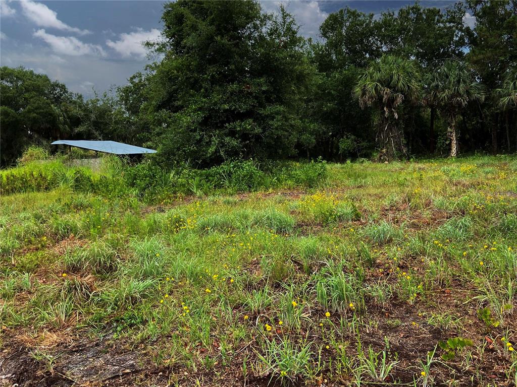 LIGHTFOOT ROAD, WIMAUMA, FL — photo 3 of 16