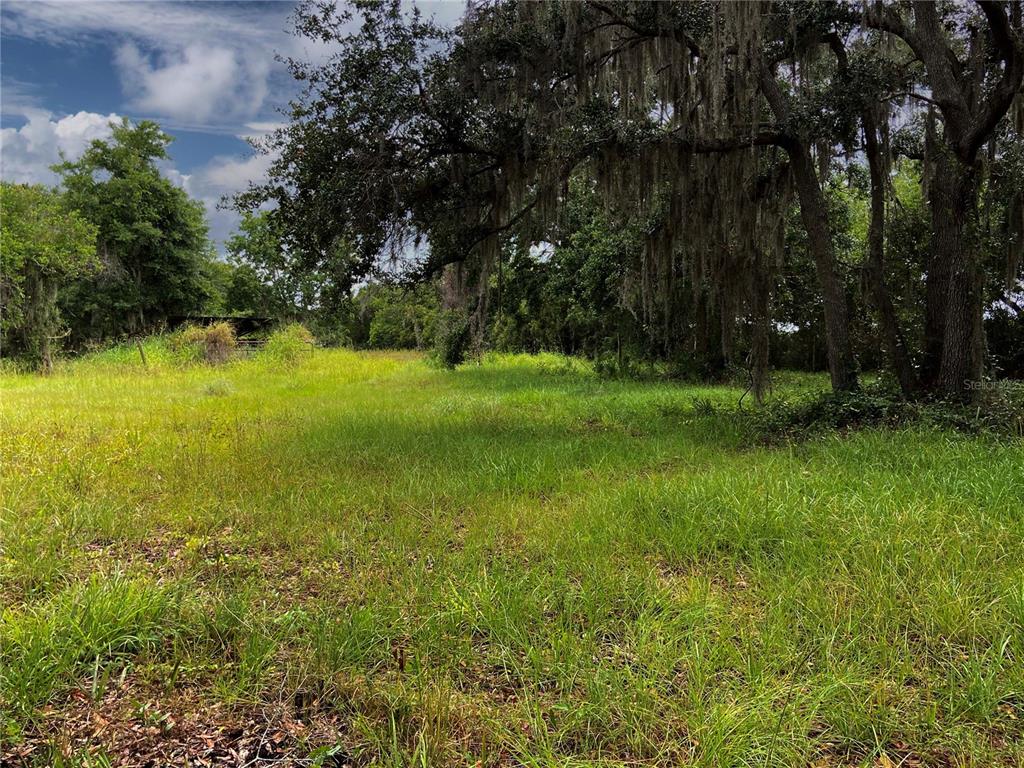 LIGHTFOOT ROAD, WIMAUMA, FL — photo 4 of 16